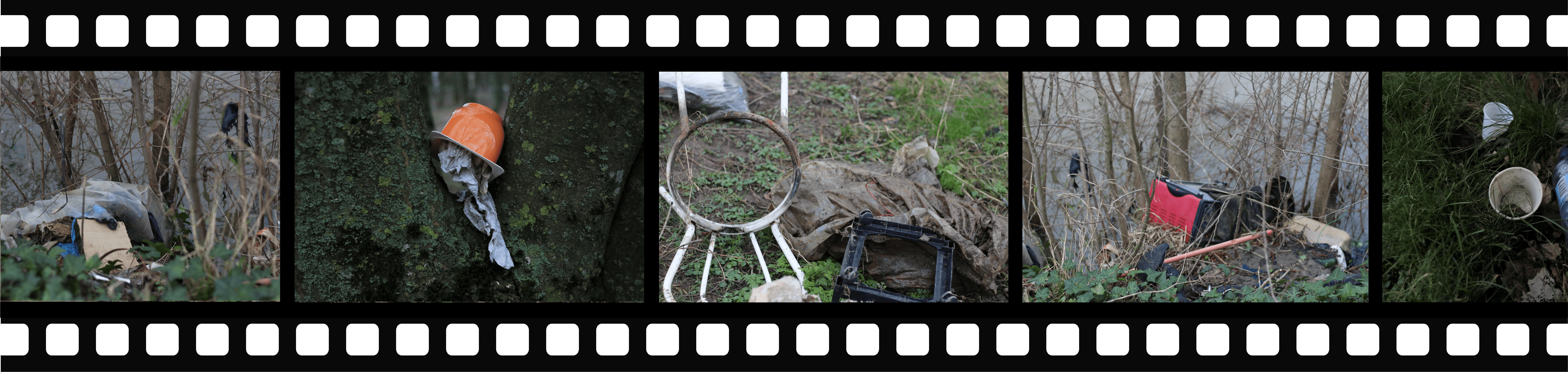 Pellicule_Fond_Texte