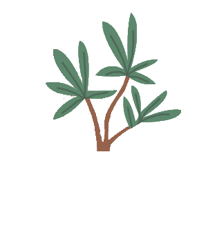 2000_Aquarium_Plante